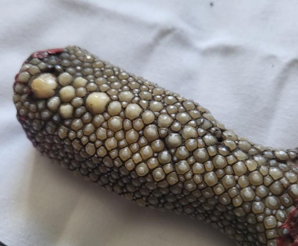 Daga Indo-Persa SIGLO XIX