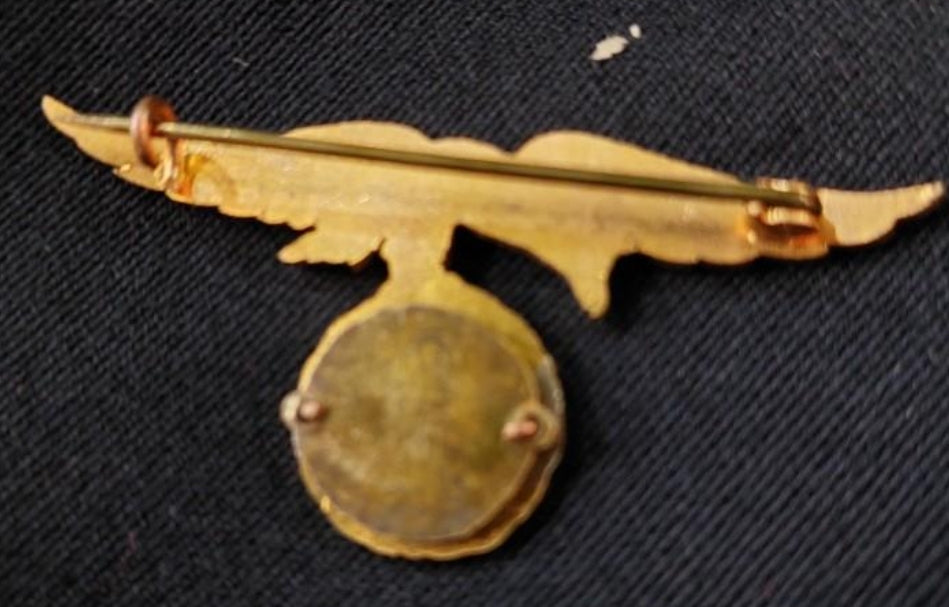 Parachute eagle 160 jumps