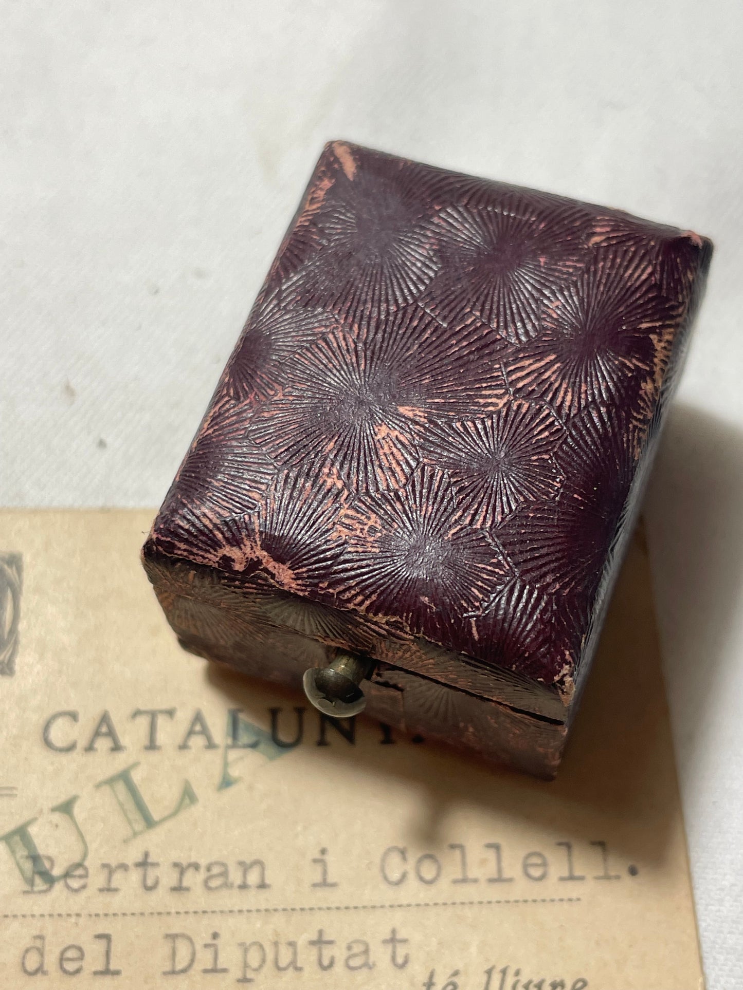 Conjunto Diputado Cataluña Parlamento. II República