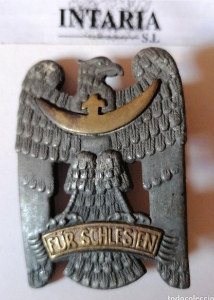 Silesian Eagle 1 class