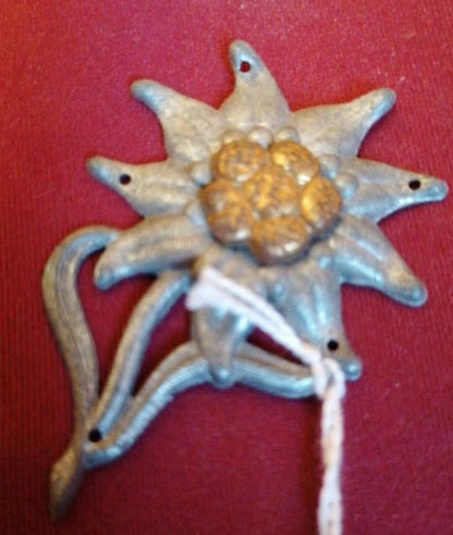 Edelweiss insignia of mountain troops or Gebirgsjaeger