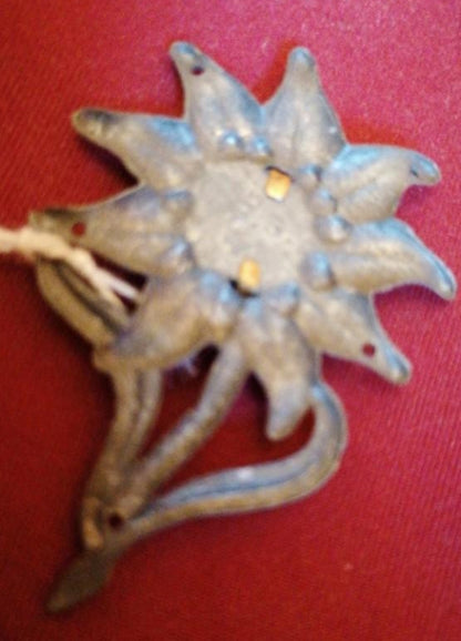 Edelweiss insignia of mountain troops or Gebirgsjaeger