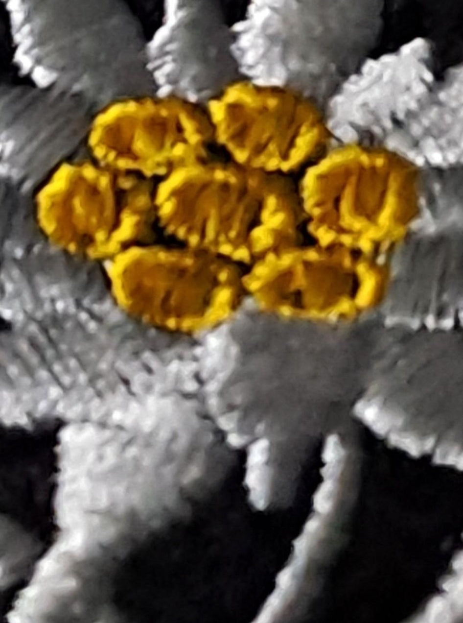 SS Mountain Troop Edelweiss