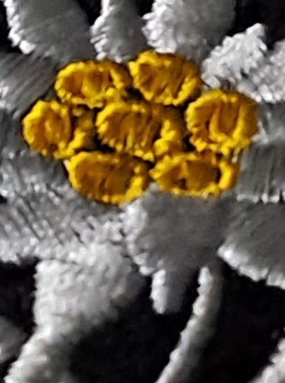 SS Mountain Troop Edelweiss