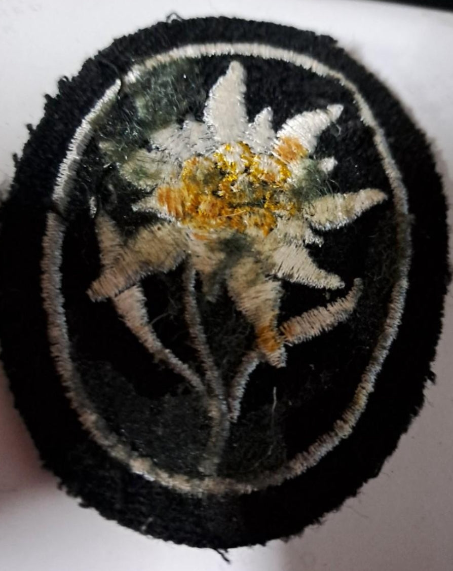 SS Mountain Troop Edelweiss
