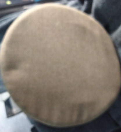 Brigadier general's plate cap. Early model.