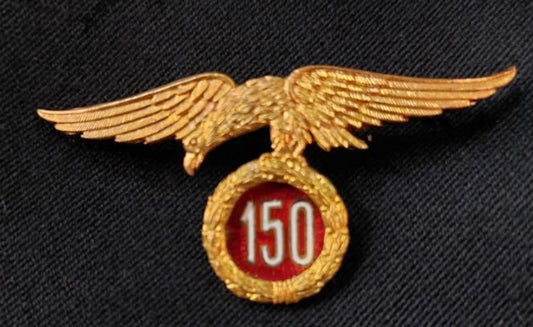 Parachute eagle 160 jumps