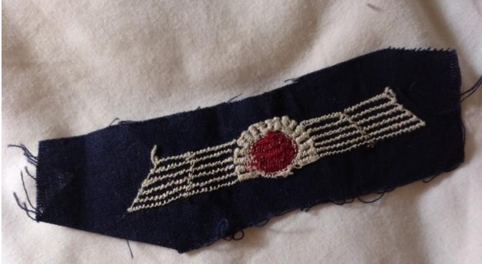 Republican aviation wings