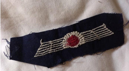 Republican aviation wings