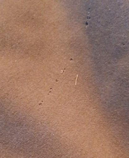 Ensign's coat model of 1943