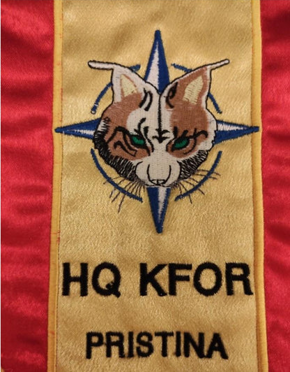 Military intelligence script in Croatian foreign operations