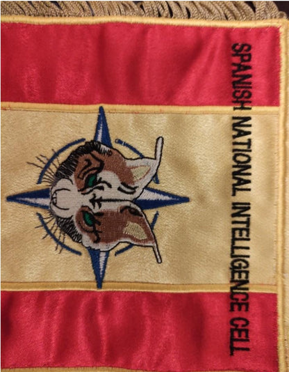 Military intelligence script in Croatian foreign operations