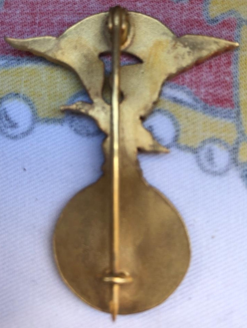 Spanish military insignia