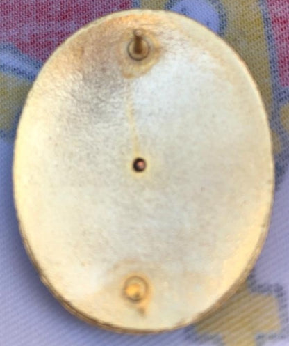 Spanish military insignia