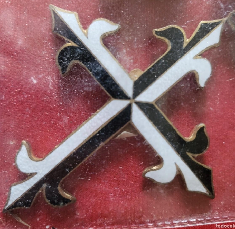 Venerable order of Dominicans