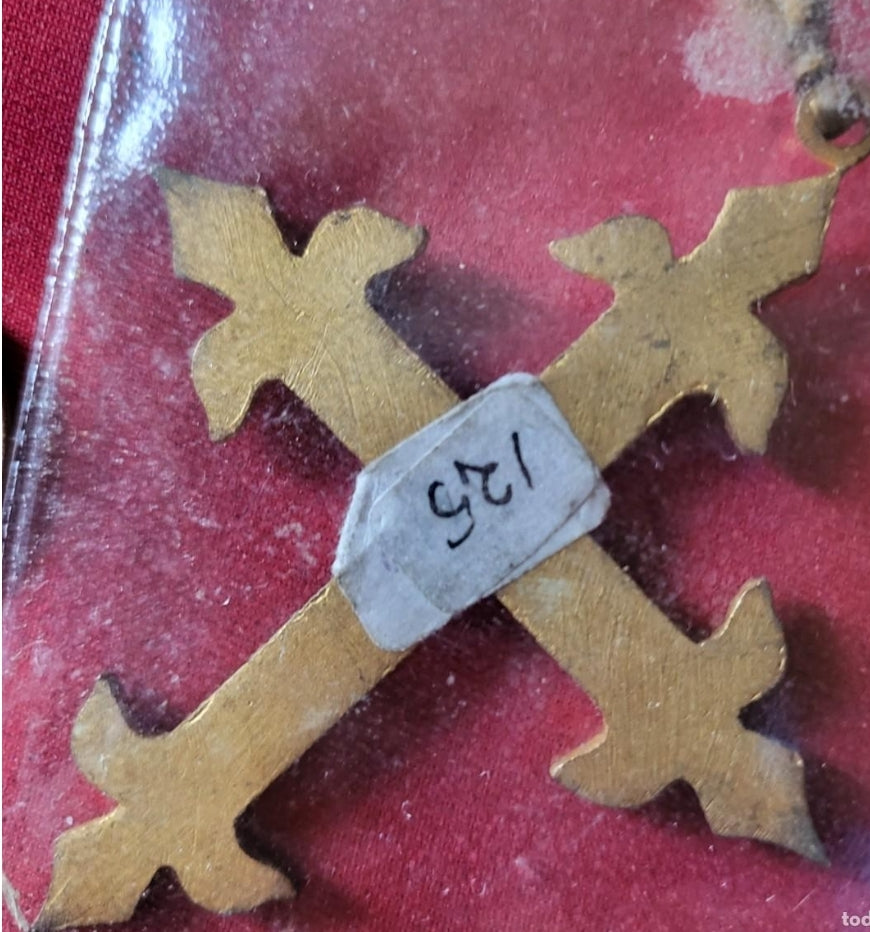 Venerable order of Dominicans