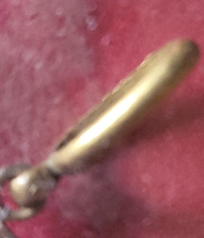 Venerable order of Dominicans