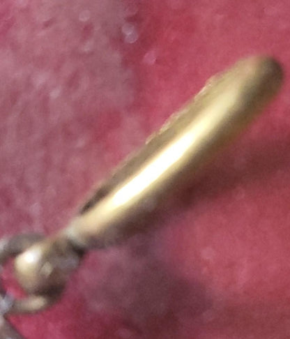 Venerable order of Dominicans